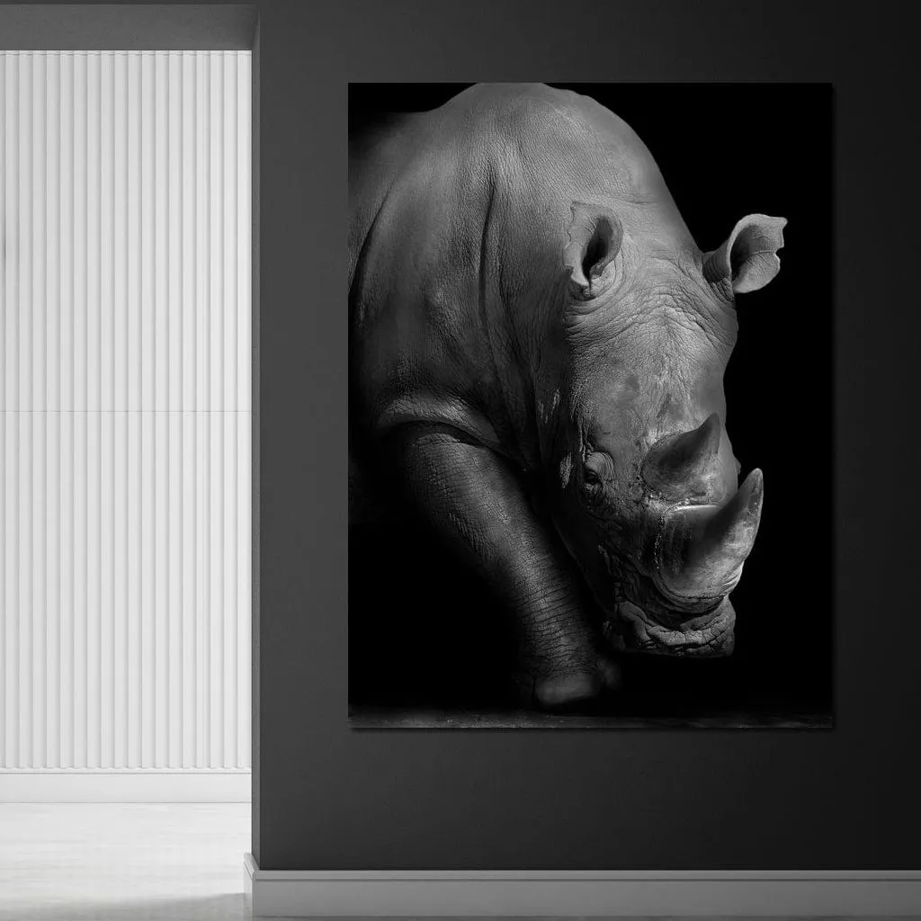 Black and White Rhino