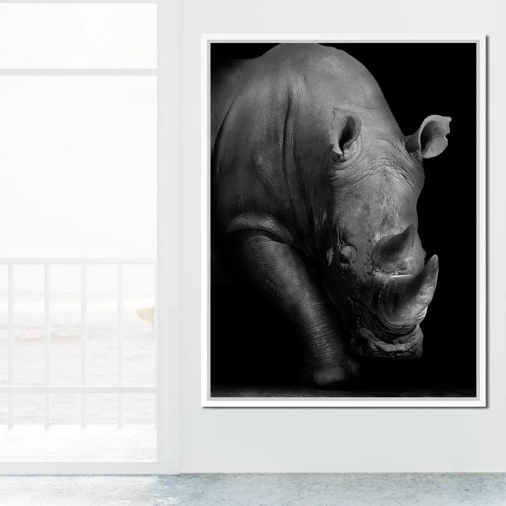 Black and White Rhino