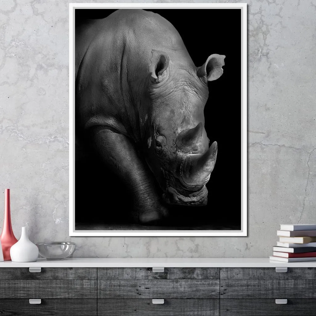 Black and White Rhino