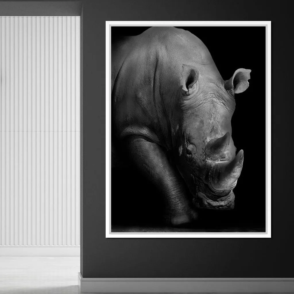 Black and White Rhino