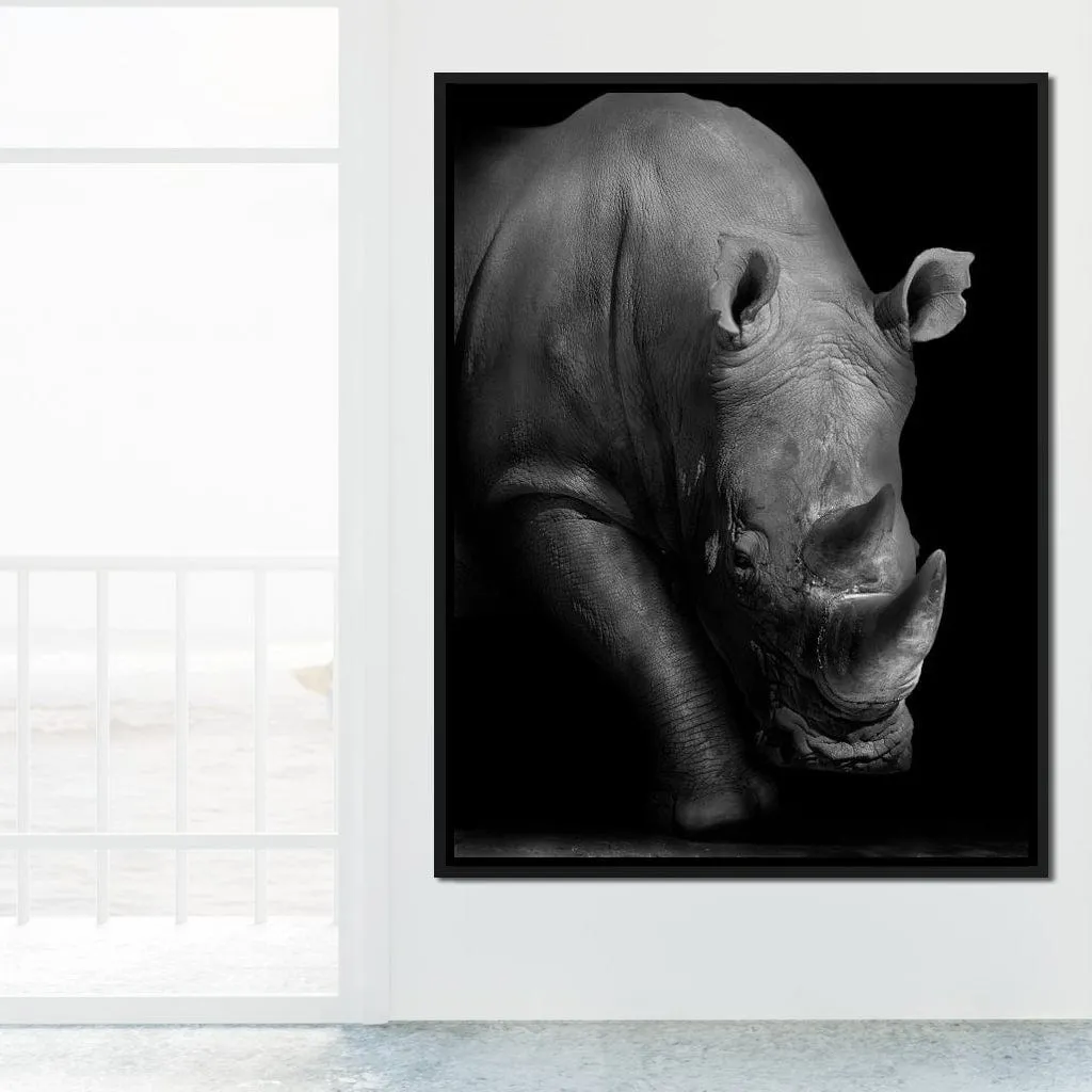 Black and White Rhino