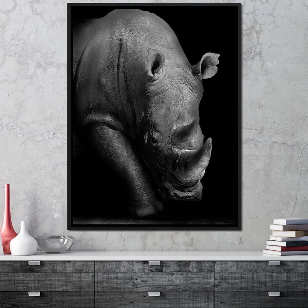 Black and White Rhino