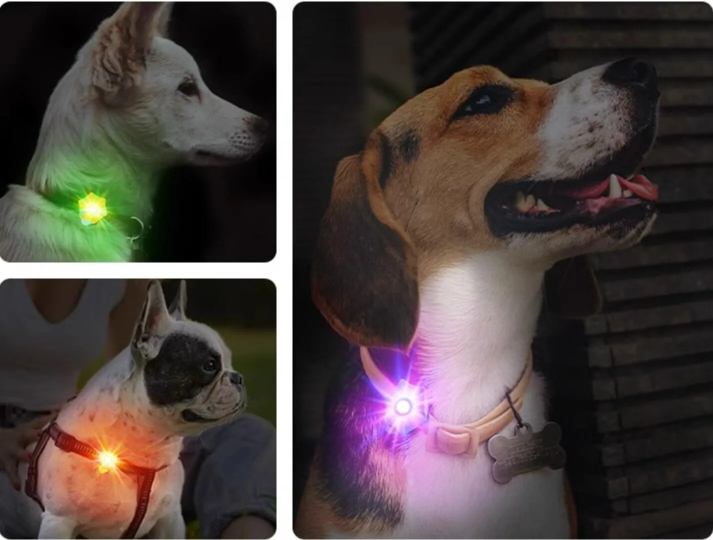 Laroo Clip On Dog Lights Glowing Accessories for Night Walking