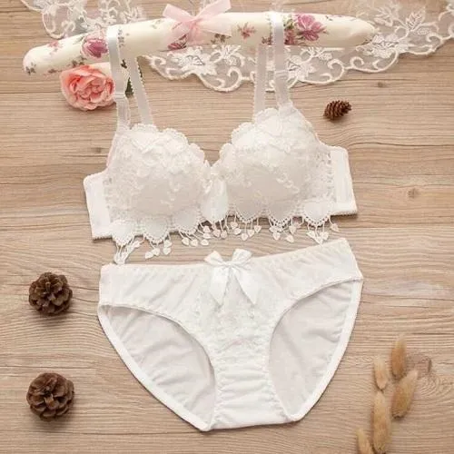 lingerie set thin embroidery push up bra set