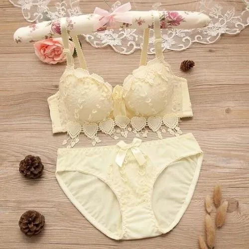 lingerie set thin embroidery push up bra set