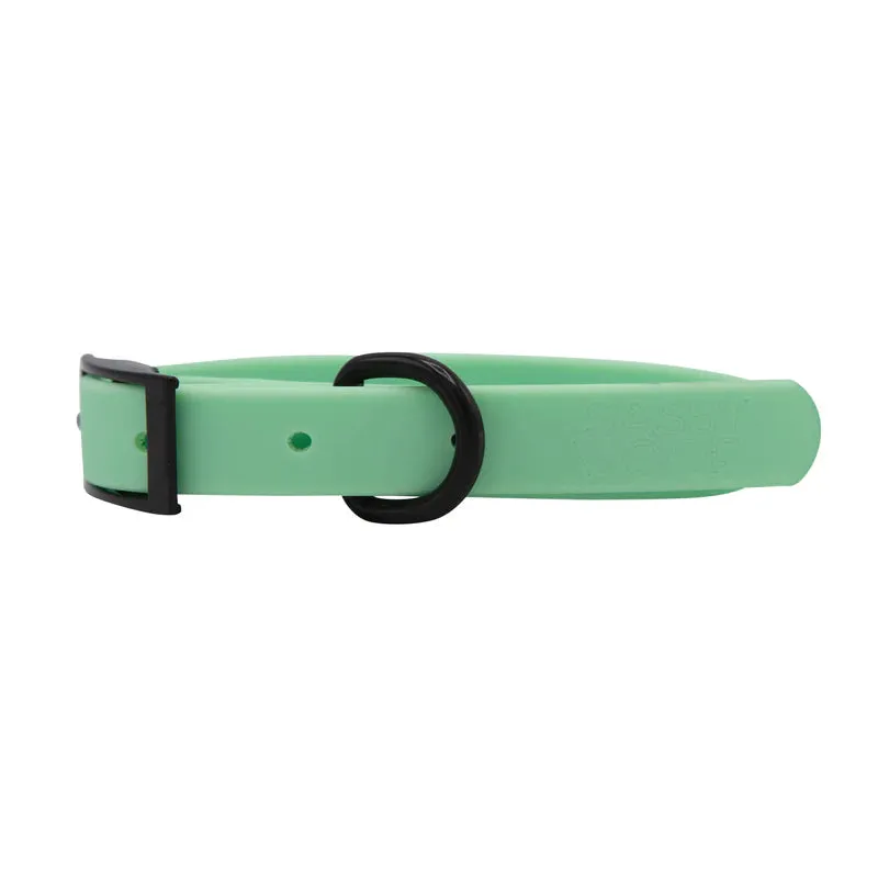 Sassy Woof Waterproof Dog Collar