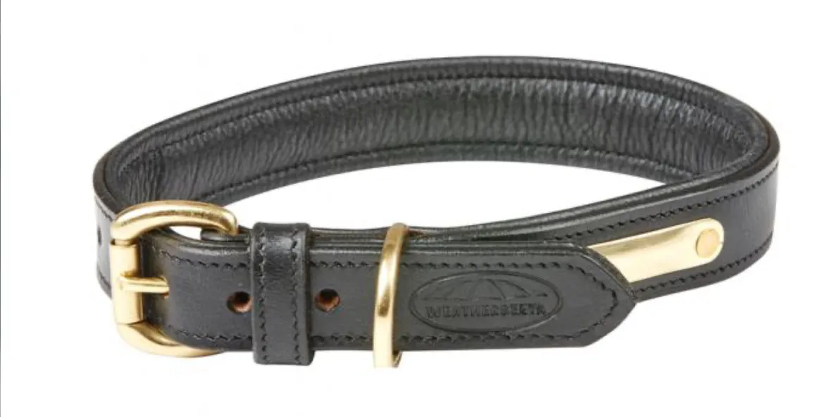 Weatherbeeta Padded Leather Dog Collar- Second