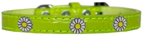 White Daisy Widget Croc Dog Collar Lime Green Size 10