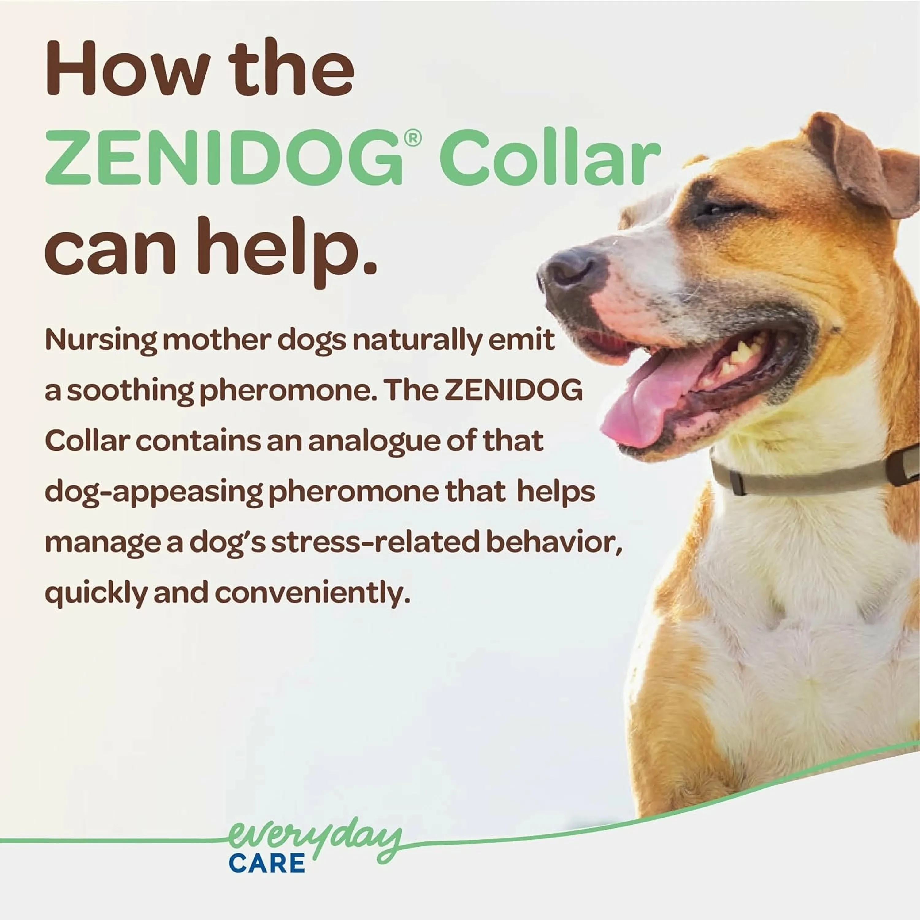 ZENIDOG Calming Collar for Dogs- Medium/Large (22-110 lbs)